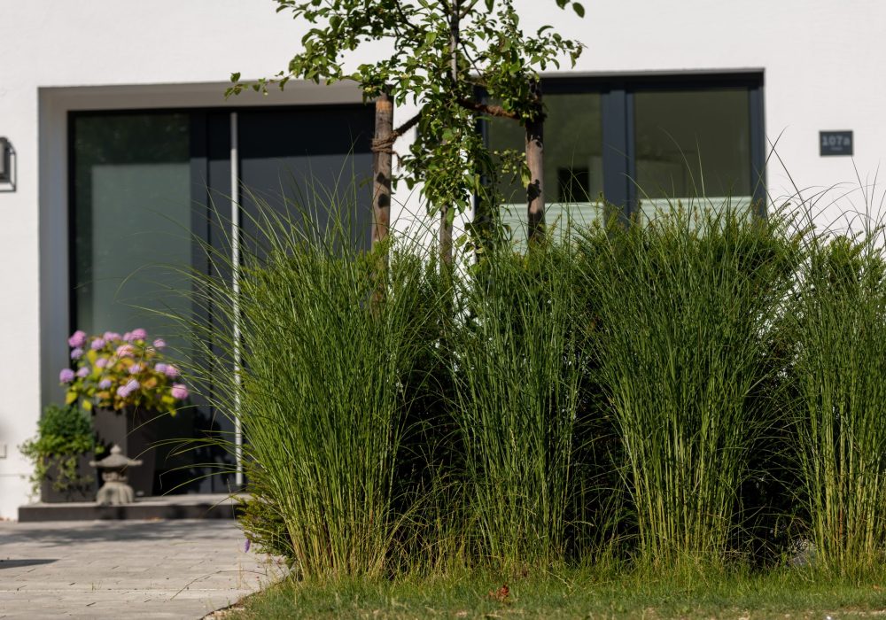 Gärtner von Eden eG; Majuntke GmbH; Mainburg; Fotograf Thorsten Scherz